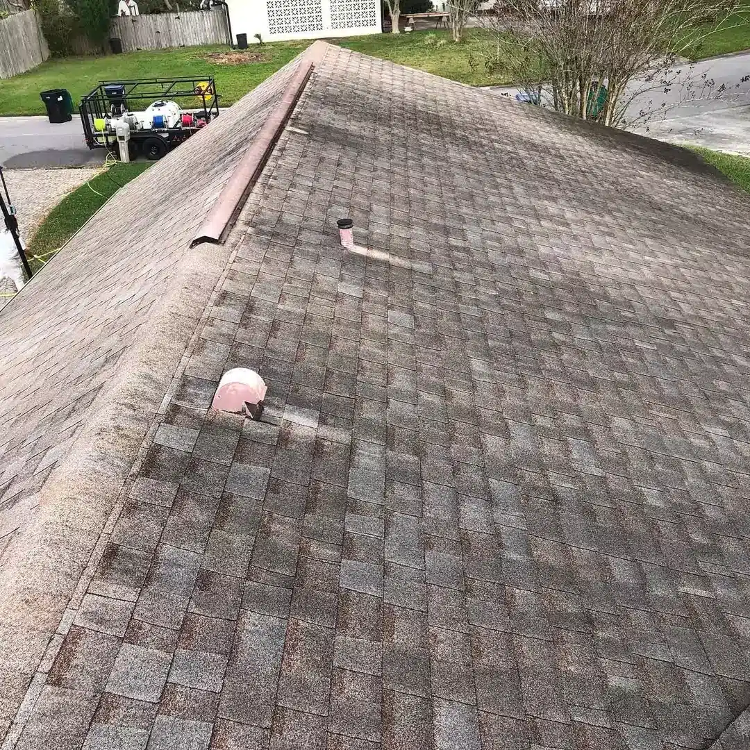 expert roof washing services near me before