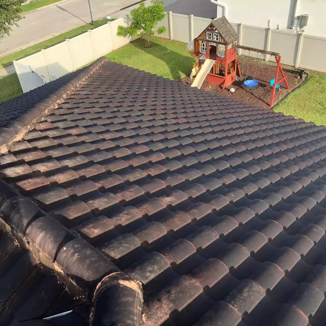roof washing beforw