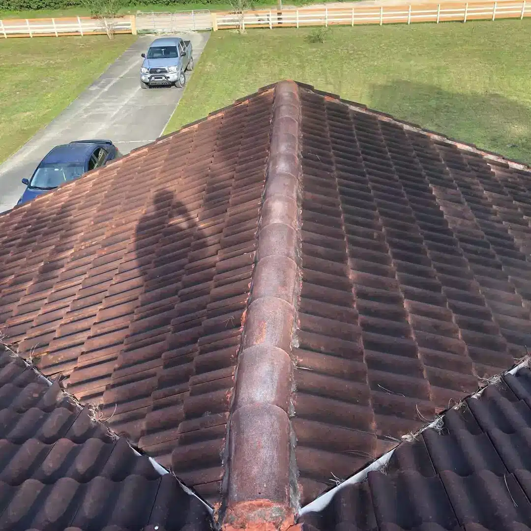 roof washing near me before