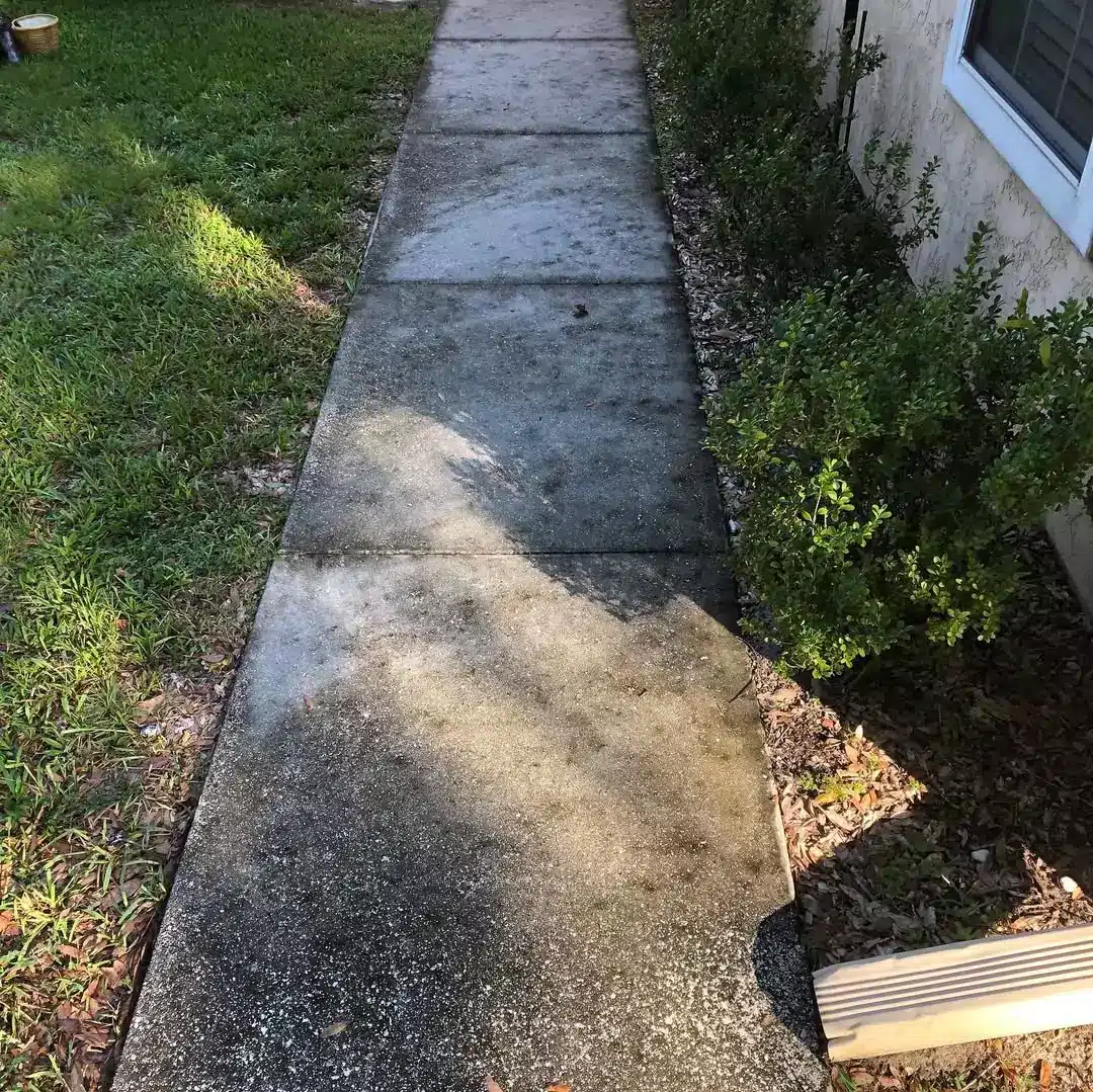 sidewalk pressure washing orlando before